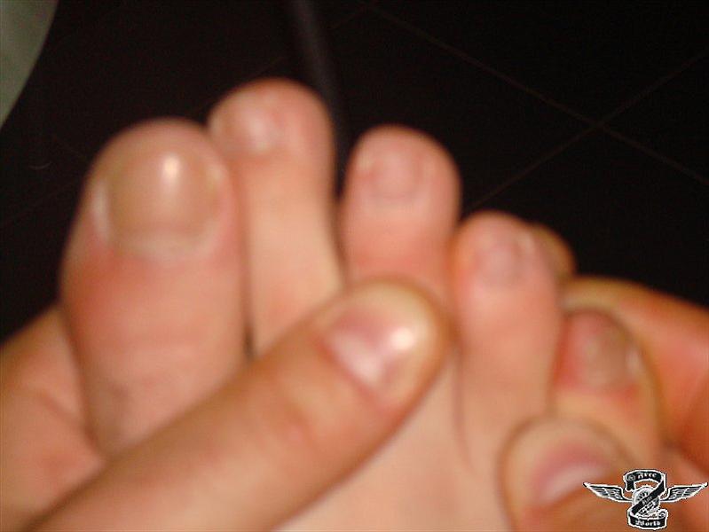 Varie 169.jpg